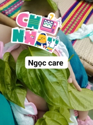 Nhiều mẹ thắc mắc, bé sơ sinh liệu có nên hơ lá trầu hay không? Và việc làm này có tác dụng như thế nào? tại Quảng Nam