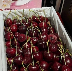 ch ơi tại Quảng Nam