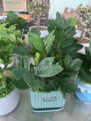 Nhà vườn sẵn sàng tại South North Electric tại Quảng Nam