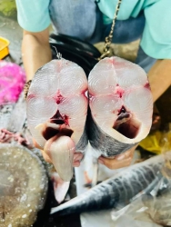 SIÊU PHẨM CÁ THU CÂU MAI NHÀ E CÓ NHA MN tại Quảng Nam