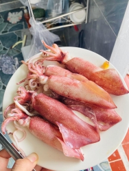 Chợ Chính, Kassándra 630 77, Hy Lạp tại Quảng Nam