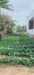 ng tại Quảng Nam