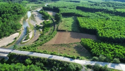 Cần bán 800m đất trồng cây hằng năm tại Quảng Nam