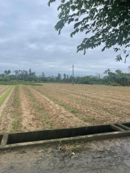 Đất Điện Minh 11x15m đường ô tô tận nơi tại Quảng Nam