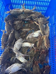  tại Quảng Nam
