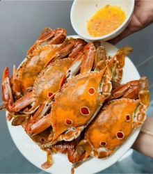 Ghe muối tiêu chanh hấp tại Quảng Nam