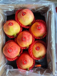 Kho bán lựu hạt mềm giá rẻ tại Quảng Nam