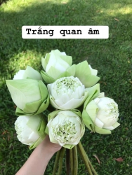 Bài viết mua bán hoa tại Quảng Nam
