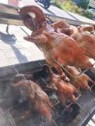 Vịt quay lạng sơn Ai ăn e ship lun 230k 1con tại Quảng Nam