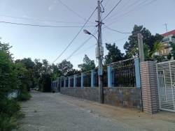 Đất đường y hình tại Quảng Nam