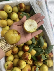 i to chảng lun 150k 1 hộp tại Quảng Nam