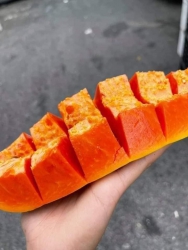 Mai 28 âm lịch tùm Lum tại Quảng Nam