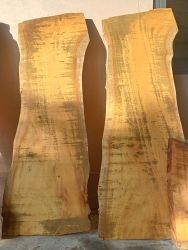 Sản phẩm dừa rừng phục vụ việc trang trí tại Quảng Nam