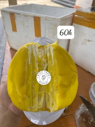 Chỉ còn vài vị trí trống. Xin đặt hàng và tôi sẽ giao tất cả vào chiều nay tại Quảng Nam