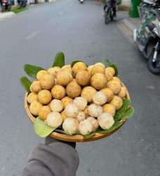 Hót hót bòn bon thái giá hạ nhiệt, chờ bữa chừ mai có lại rồi đây tại Quảng Nam