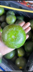 Loa chấn động khách ơi, cam xồ víp giá rẻ chưa từng có tại Quảng Nam