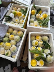 , bữa gần 80,90k 1 tại Quảng Nam