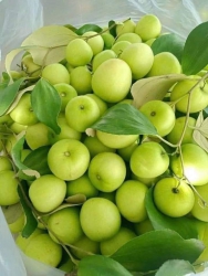  hi tại Quảng Nam