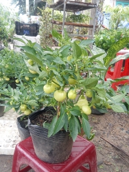 i rất tiện lợi tại Quảng Nam