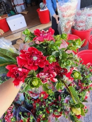 Hoàn toàn trở lại ngày mai vào đầu tuần, mọi người. tại Quảng Nam