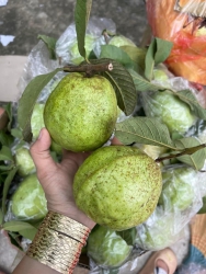 i Đồi Bắc Giang tại Quảng Nam