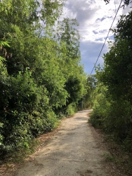 Chiều nay em đi bắt 3 con gà ta, dư 3 bộ lòng gà 15k/bộ tại Quảng Nam