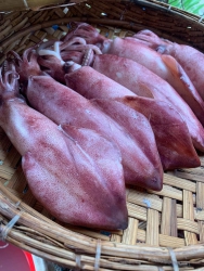 Cơm dày thịt ngọt tại Quảng Nam