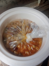 nh mỳ tại Quảng Nam