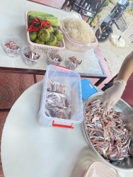 Gỏi Cá Nhà Bé Oanh Rau Rừng Đầy Đủ tại Quảng Nam