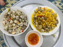 Sản phẩm ốc nhảy tươi sống từ Điện Phương tại Quảng Nam