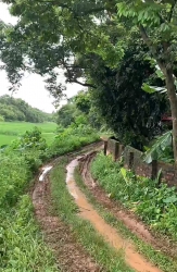  tại Quảng Nam