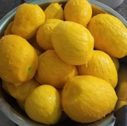 Menu ngày mai tại Quảng Nam