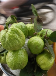 c sản phẩm sau tại Quảng Nam