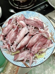 Mực Tép Nháy Liền Cấp Đông tại Quảng Nam