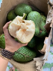Nạp vitamin c thôi cả nhà  toàn món ngon giải nhiệt ngày nắng tại Quảng Nam