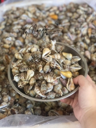 ch Lên Đơn Shipper Chạy Ship Nhanh Luôn Nghen tại Quảng Nam