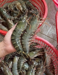  rẻ tại Quảng Nam