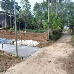 Về lô phong lục đông nam, điện thắng nam, bê tông 5,5m thông thoáng, dân cư đông đúc tại Quảng Nam