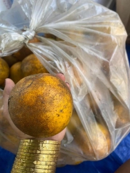 Cam vinh ve cai ma sieu nam ri la biet hen ngot ren roi hi ai ung nam ngot thi ve doi cua e tại Quảng Nam