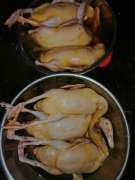 Vịt nhà nuôi đủ ngày nên bán. tại Quảng Nam