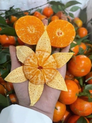 Cam Sơn La ngọt tại Quảng Nam