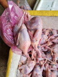  tại Quảng Nam