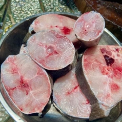 Cá bớp e đã có rồi. E đang ra lát cho khách. Tơ tươi, nếp bỏ tỏ vào tủ ăn đều đều tiền khách nhé. Giá 140k/1kg tại Quảng Nam