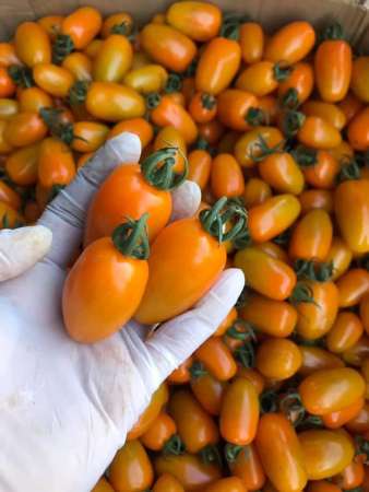 Rau tươi xanh sạch chuẩn hàng bỏ siêu thị giá hạt dẻ tại Quảng Nam