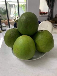 ng 7 tại Quảng Nam