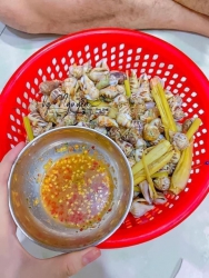 Ốc nhảy sống to tại Quảng Nam