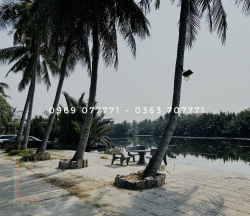 Bán 500m2 Đất Hai Mặt Tiền Thanh Tây - Cẩm Châu - View Trực Diện Lúa tại Quảng Nam