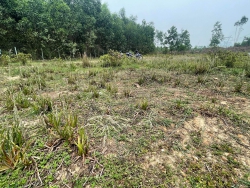 Chào bán lô đất thuộc thôn Diệu Phong, Hòa Nhơn, đường bê tông, dân đông đúc, gần chợ, gần trường, tiện ích đầy đủ tại Quảng Nam