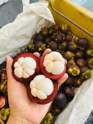 Menu mai cuối tuần tại Quảng Nam