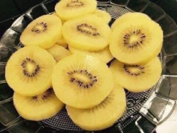 Gấp kiwi vàng New Zealand giá sập sàng tại Quảng Nam